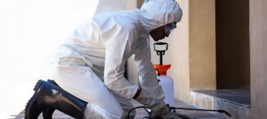 شركة مكافحة حشرات بالمجمعه | شركة المتعهد