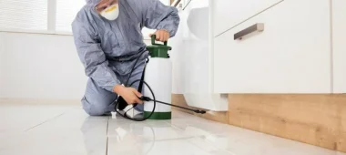 شركة مكافحة حشرات بالزلفي | شركة المتعهد