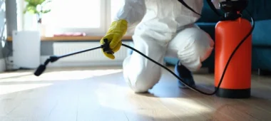 شركة مكافحة حشرات بشقراء | شركة المتعهد