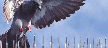 شركة شبك حمام بابها | شركة المتعهد